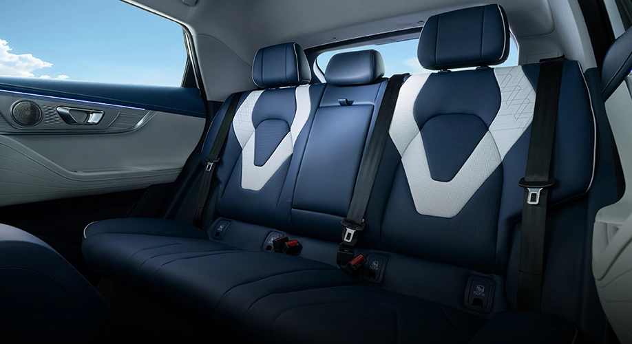 Image CHERY E5